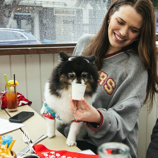 A smiling woman holds a small white cup for a fluffy black and white dog at a restaurant.